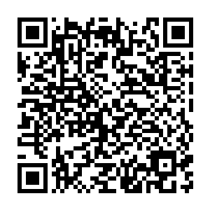 切萨雷这回是真的对她翻了个白眼――这已经不是无限接近白眼了二维码生成