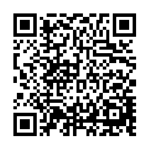 刑使大人可是掌管仙域刑律居然被一个凡人训斥得不敢回话二维码生成