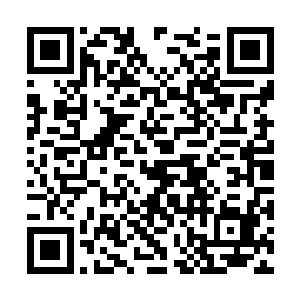 刑殿罚您在成大儒前要去一处古地为人族开疆扩土二维码生成