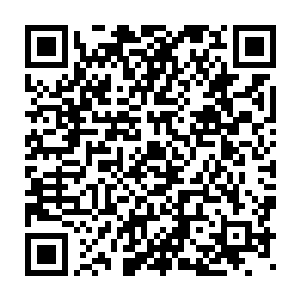 划破长空而来的蓝色身影最终在烈焰佣兵团众人的前方悬停了下来二维码生成