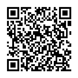 刘伟把全县各部委办局的头头脑脑反复过了几遍二维码生成