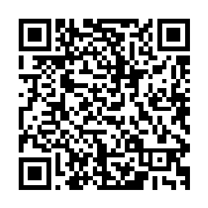 刘伟杰那小子从最开始被打折了一条胳膊后就没敢再往上凑合二维码生成