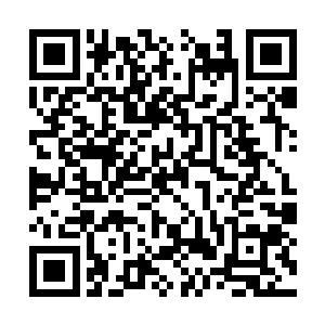 刘公公听说卢靖妃属意的景王府侍讲学士是杨国梁二维码生成