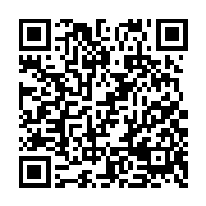 刘医生拿出了座机电话拨通了陆子峰的电话号码二维码生成