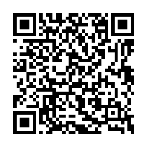 刘协昨日却已与董太后还有四位护国大臣商议过二维码生成