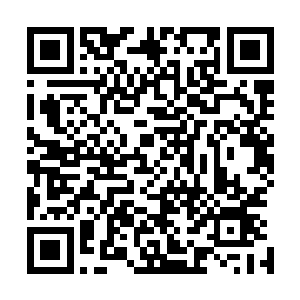 刘在石也适时的发出了邀请希望金在珉下次再来节目的邀请二维码生成