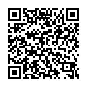 刘大刀他们才掩埋了父老乡亲们立马返回了京城二维码生成