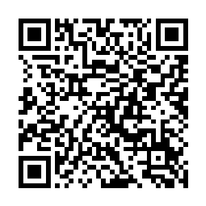 刘大刀等人先头策马将东湖地界通过插竹竿标记了出来二维码生成