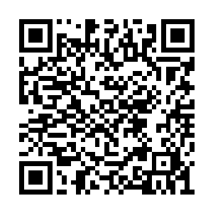 刘大刀等猎户其实对朱平安的行为也是一头雾水二维码生成