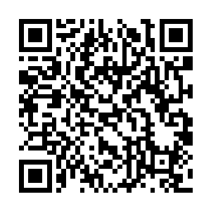 刘大少想用你这堆垃圾来赌我这块四十多万的原石二维码生成