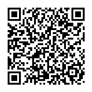 刘妇人和五夫人一直在鼓励闻春意同样在荒地上购置一块地修建宅子二维码生成