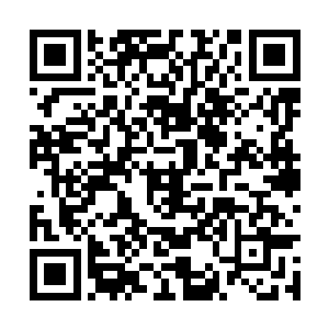 刘姐并没有直接带陈易清与云逸直接去采访的地方二维码生成