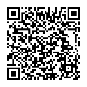 刘宇也无法确定在这和地球大相径庭的恒沙世界里会发生什么事情二维码生成