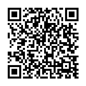 刘宇倒是想起了自己之前见到的那一丝本源之力的主人二维码生成