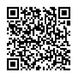 刘宇和外公说起了之前自己凭空运用了风字的能力二维码生成