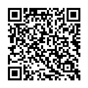 刘宇所做的就是要将神通万法汇作一只遮天巨手二维码生成