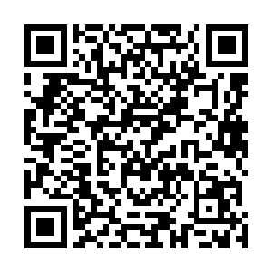 刘宇正是受了遮天巨手的启发而想到汇作这一只神通巨手二维码生成