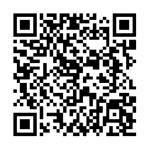 刘宇看着外公仿若起了童心一般跃跃欲试的表情二维码生成