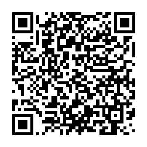 刘宇硬是没有从任何一件古玩上感受到异样的气息亦或是半分灵性二维码生成