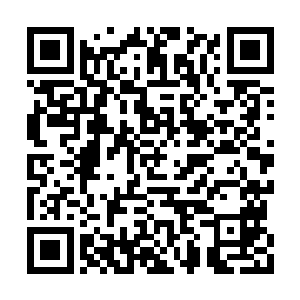 刘守有把所有的堂上官都召集到了本衙白虎大堂二维码生成