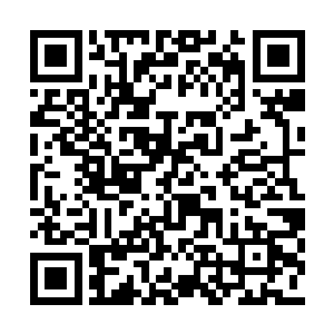 刘家兄弟和姜若馨与姬月蓝四个人的表情都变了二维码生成