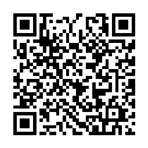 刘家家主随意的看了一眼圆桌上的十余名刘家长老二维码生成