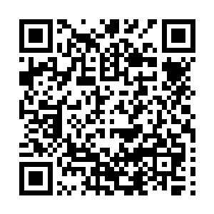刘家的小一辈刘武能已经与秦家的小公主拥有了天大的隔阂二维码生成