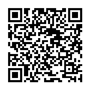 刘小嫣有些错愕的看了看林辰早已消失不见的方向二维码生成