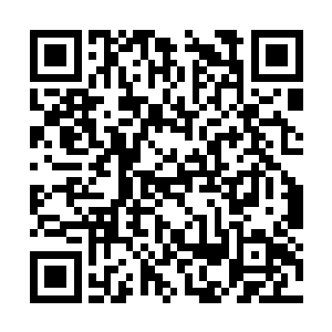 刘施主……请问一下您是否看出的苏家苏月的路数二维码生成