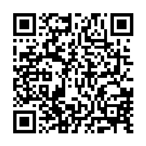 刘昌伟等跟随着杨立业时间较长的人神色焦急地看着杨立业二维码生成