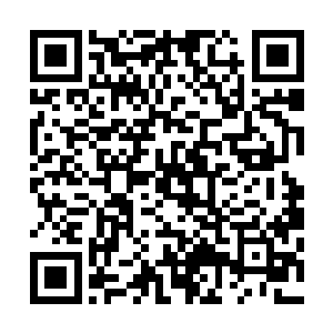 刘源不得不承认的是如果四个人在全盛时期他完全不敢招惹二维码生成