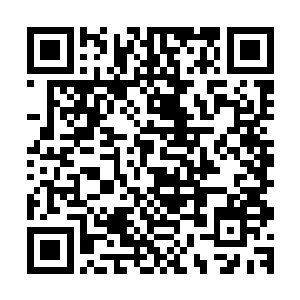 刘爽很确信自己能够让梨花酒在这次的评选出获得惊人的成绩二维码生成