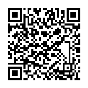 刘牧刘大刀他们被拦在戒严的胡同外好长时间了二维码生成