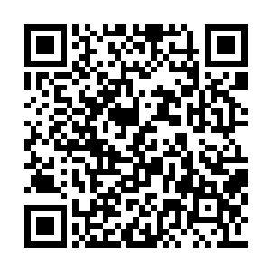 刘玉芝还是找到了机会将我丢在了乡下的小溪里二维码生成