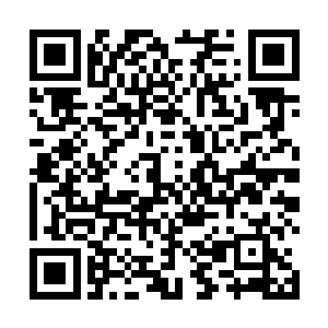 刘画屏和刘青萌这些人尊期的修士却猛然脸色变得苍白二维码生成