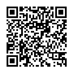 刘福荣带着羡慕的眼神看了韩继军那飞腾中的机甲二维码生成