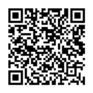 刘统领去安排了地煞军四个最强的大统领跟随江逸而已二维码生成