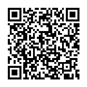 刘萱那一声大喊让众人均发觉了金逸的所在之处二维码生成