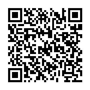 刘轩趴在地上看了半天也没看出那个浅浅的猪蹄印二维码生成