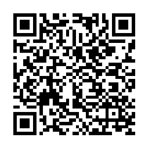 刘酿强露出了一副极为不屑的神色在着林辰身后不停的指手画脚二维码生成