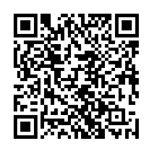 刘铭笑眯眯地从口袋里掏出两张以虚造信息制作的通行证来二维码生成