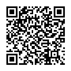 刘飞感觉到体内一股强大淡金能量迅速的向手心汇聚二维码生成