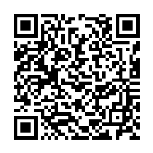 则不断游走窜行闪烁在苗毅周围如鬼魅般发动攻击二维码生成