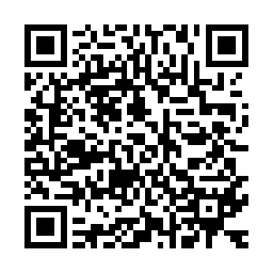 则利用一件传奇物品――烛火项链――召唤出了十二头火元素二维码生成