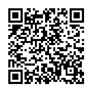 则将手握二十多个女孩子接下来两年的演出合约二维码生成