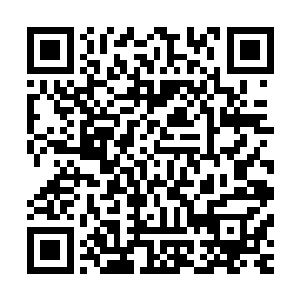 则意味着魔族主力军团已经找到了人族在赛尔内斯防线的弱点二维码生成