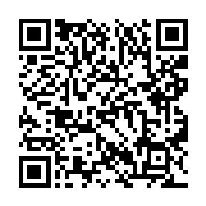 则是他硬生生的将四大本源的气息剥离了三分之一二维码生成