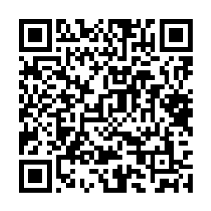 则是以拜把兄弟的方式加入到这个恐怖的家族之中二维码生成