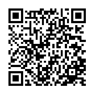 则是凭借克里兰德家族的一己之力强行建立起来的二维码生成