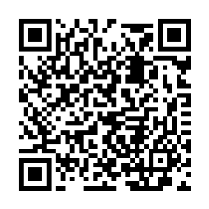 则是因为家里有个学过几年拳脚好打抱不平的兄长二维码生成